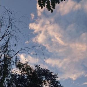 久青草国产97香蕉在线视频xx
